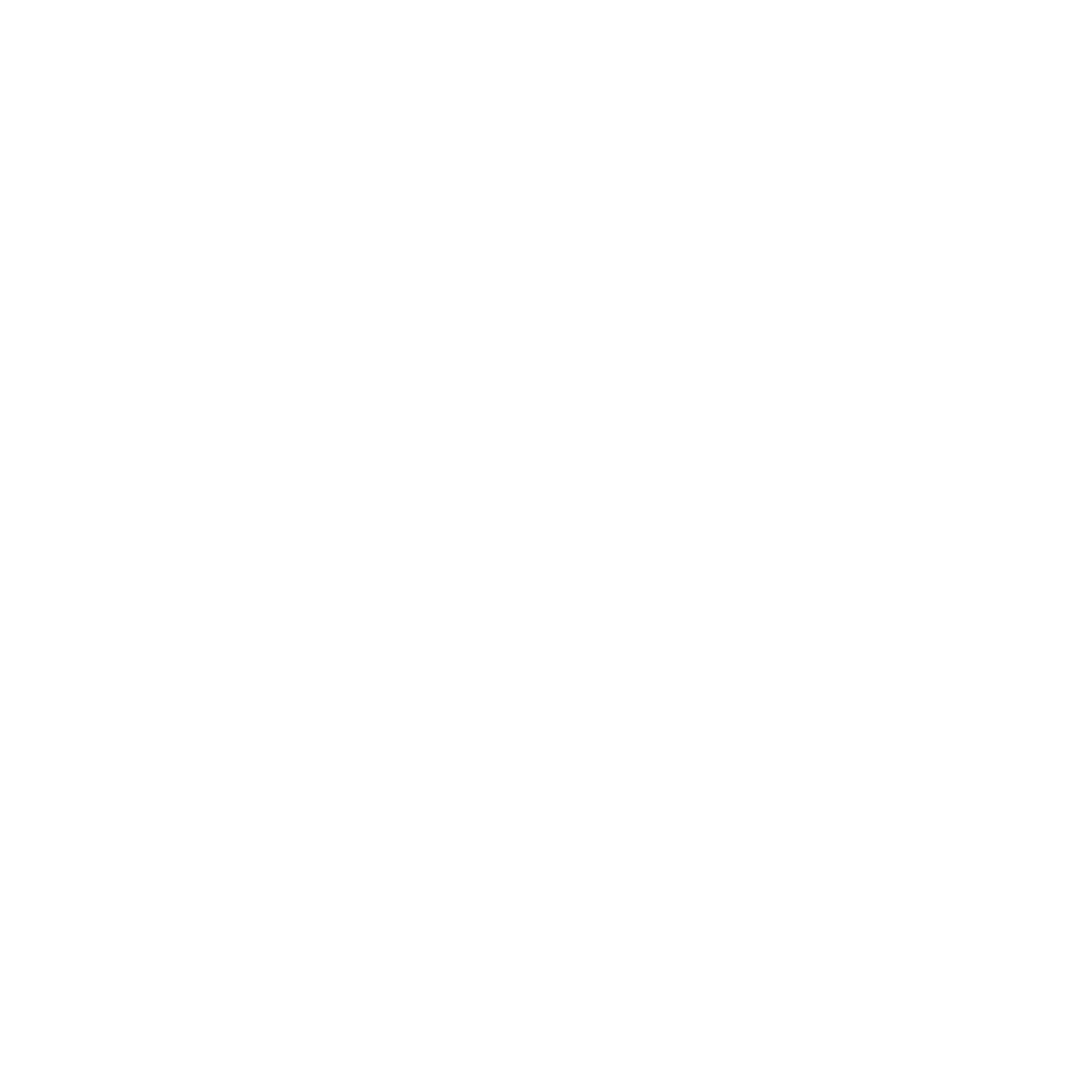 Integrity icon