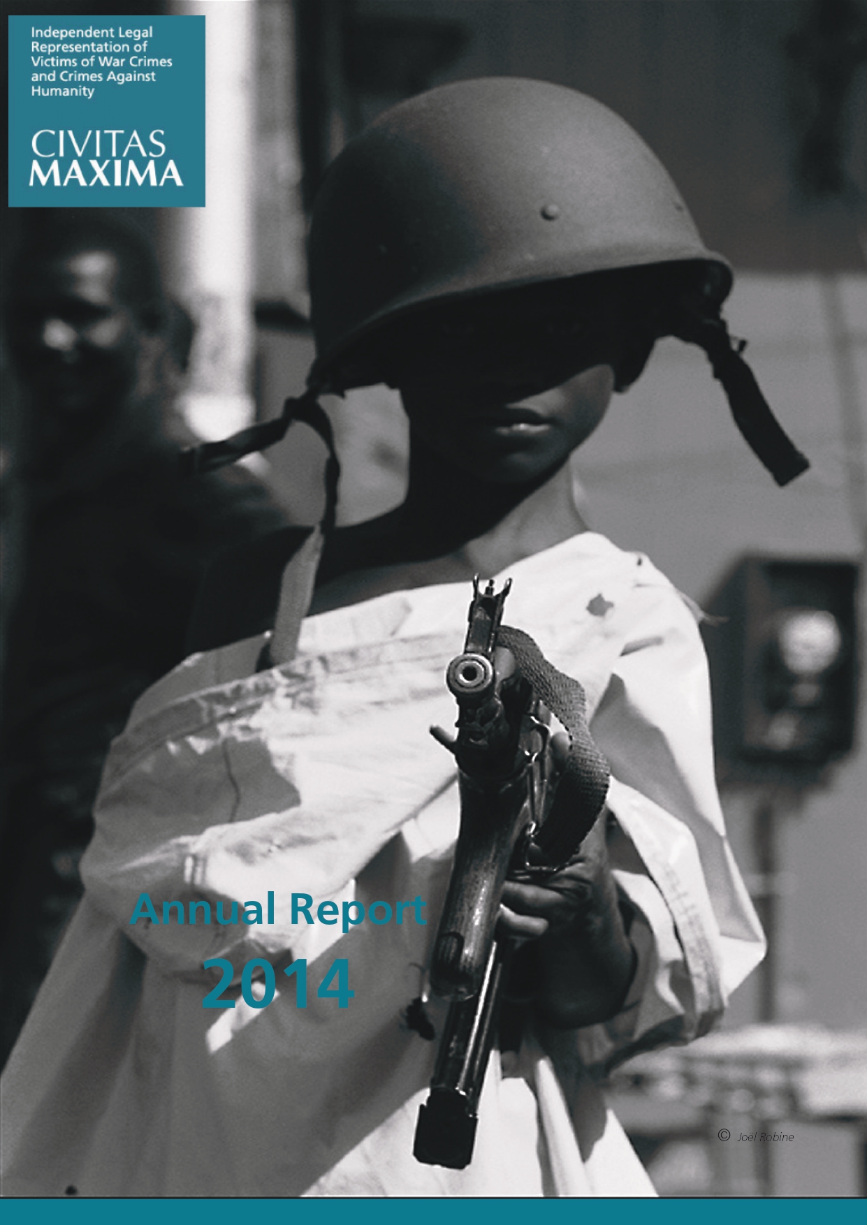 2014 Annual report icon