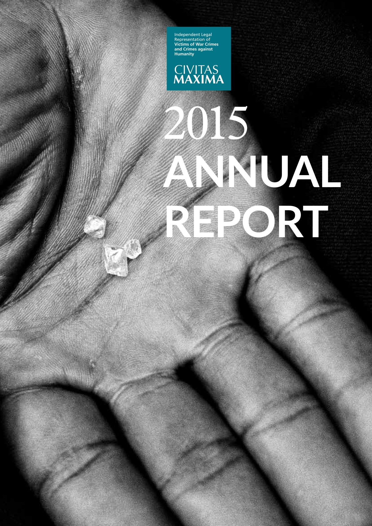 2015 Annual report icon
