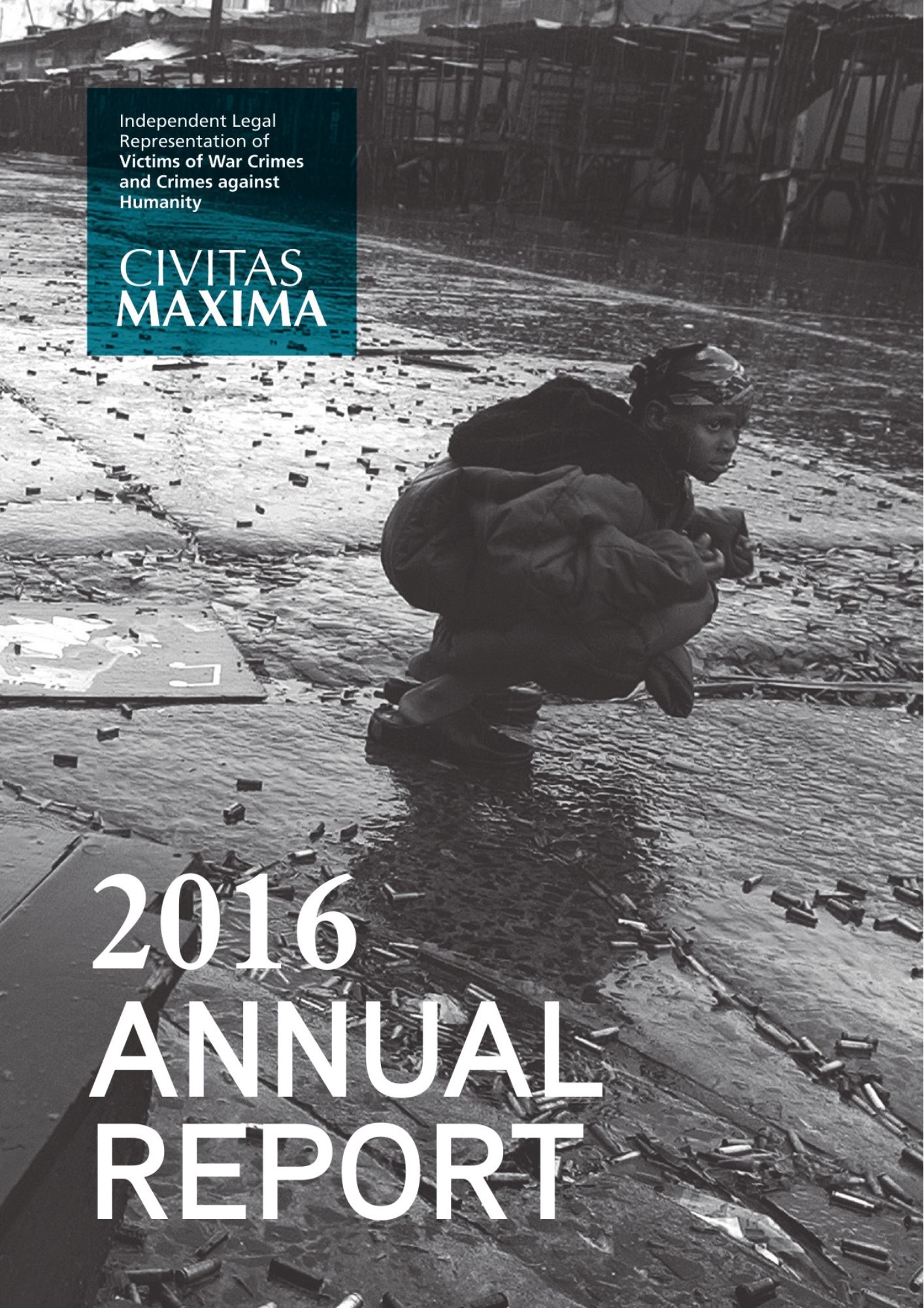 2016 Annual report icon